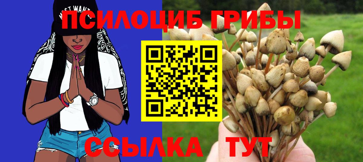 Карталы  Псилоцибиновые грибы Psilocybine cubensis  Вход с VPN 