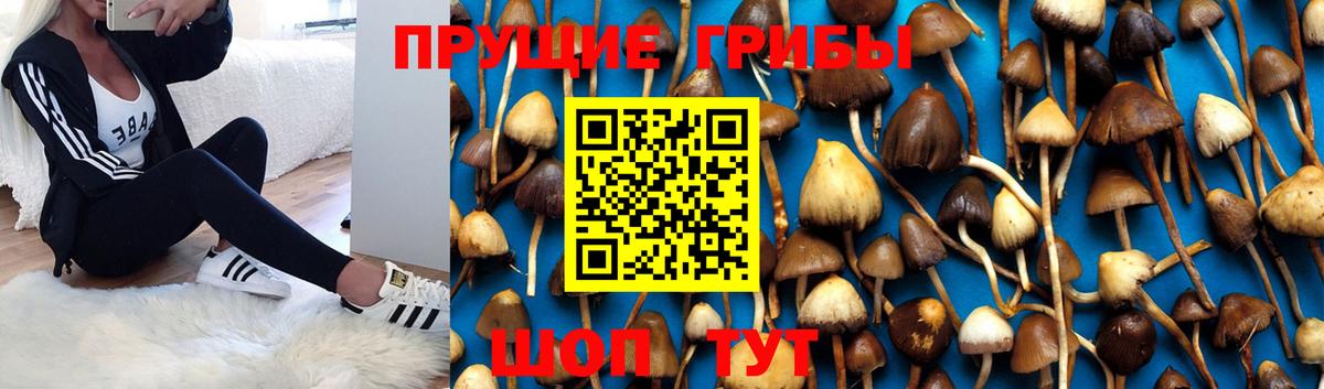 Псилоцибиновые грибы ЛСД Карталы